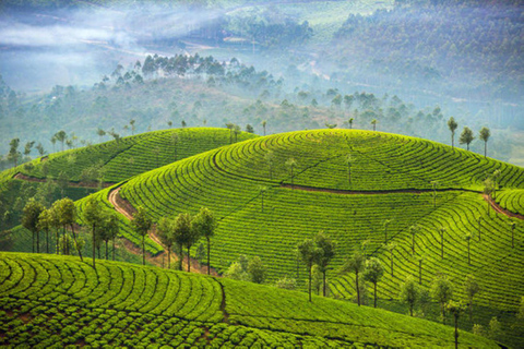 Overnight Munnar Hill Station Tour with Kerala Beauty