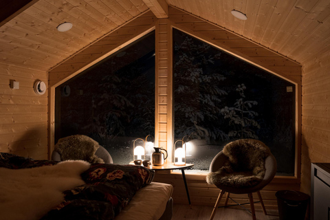 Levi: Aurora Wilderness Escape