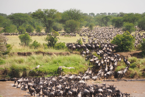 Tanzania: Escapada de luna de miel de 10 días al Serengeti y Zanzíbar