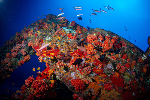 Colombo: Shipwreck Diving Experience within the city