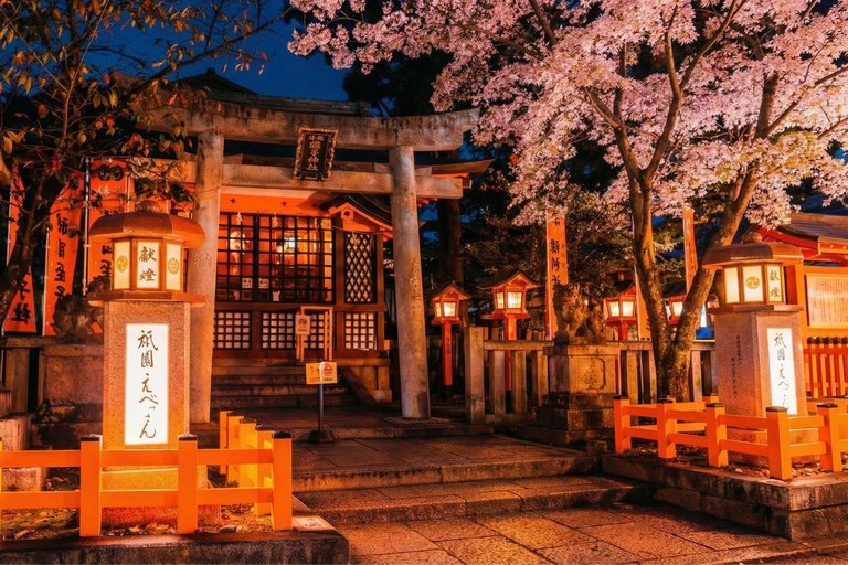 Limited Kyoto Evening: Sakura, Sake & Night Festival Vibes Package A: Cherry Blossom Limited - Sakura Drinking Party
