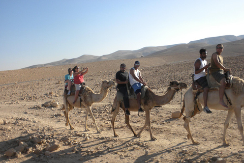 De Agadir: Passeio de camelo ao pôr do sol com jantar com churrasco e traslados