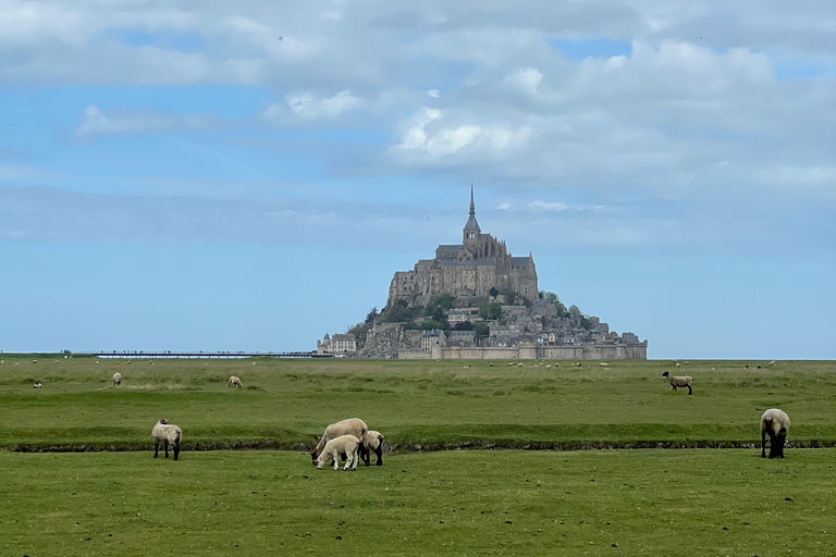 Normandy: D-Day Beaches & Mont Saint-Michel Day Trip d day + msm from rouen