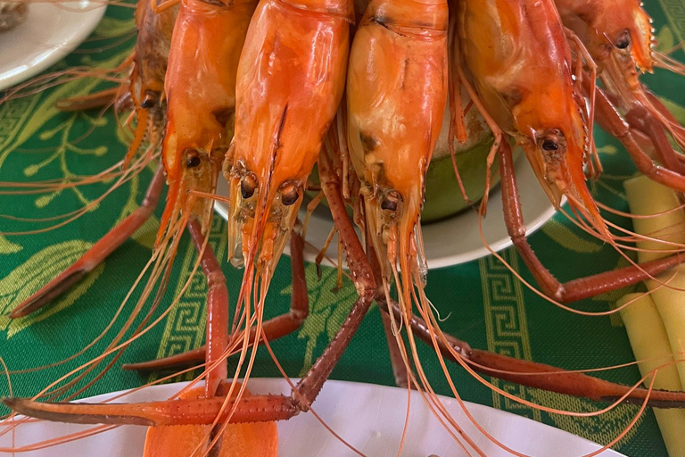 From Ho Chi Minh City: Ben Tre - The Coconut Land with Lunch