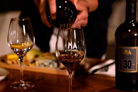 Food tasting at Mas Amiel with Vintage Oxidative Wines & Cheeses in Maury (66) Tasting at Mas Amiel with Vintage Oxidative Wines & Cheeses in Maury (66)