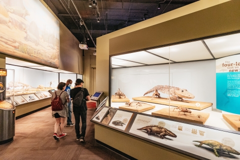 Chicago: Field Museum of Natural History Ticket of VIP-tourToegangsticket voor alle toegangskaarten voor het museum