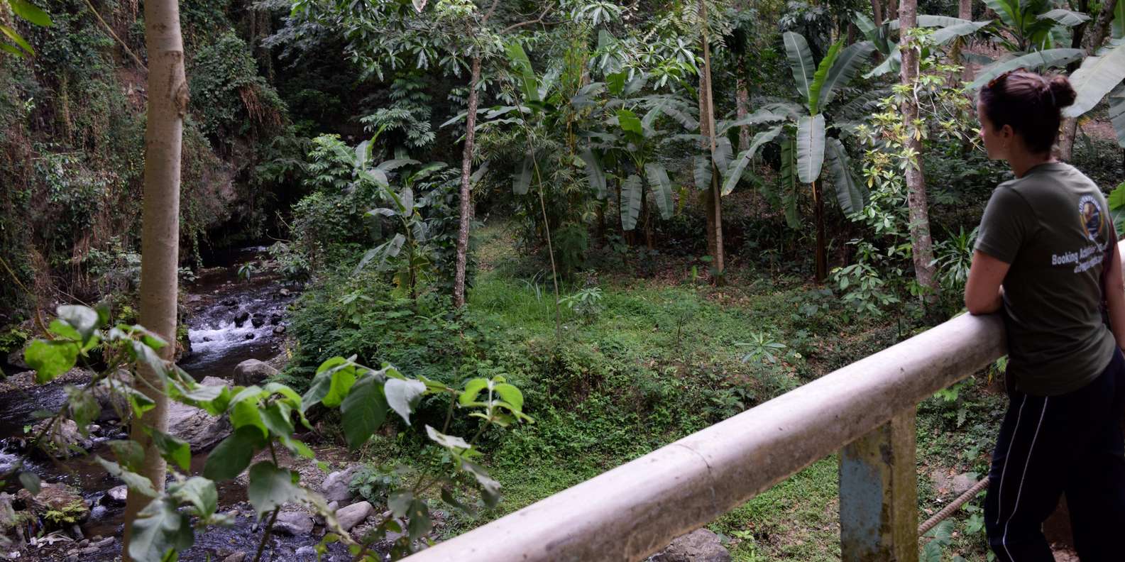 section