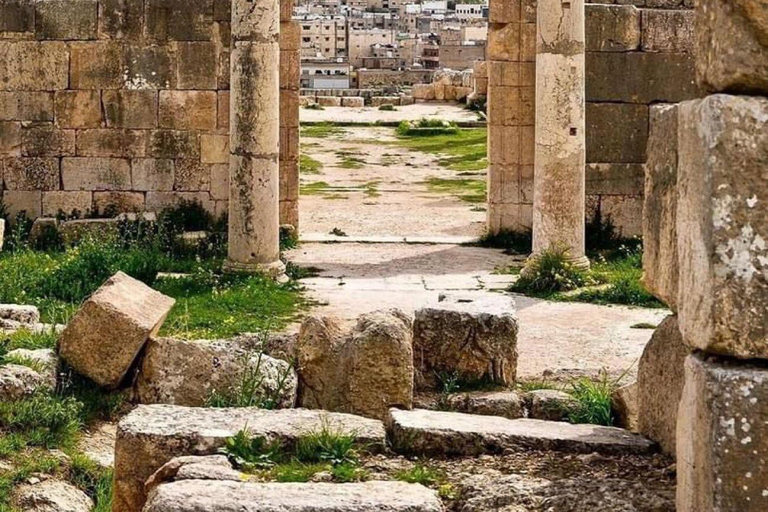 Excursion d&#039;une journée : Jerash et visite de la ville d&#039;Amman depuis Amman