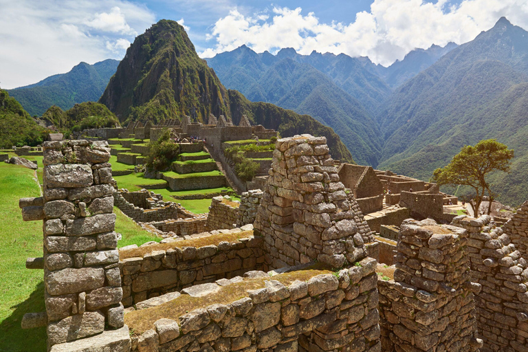 Machu Picchu: Official Entrance Exclusive admission for domestic students