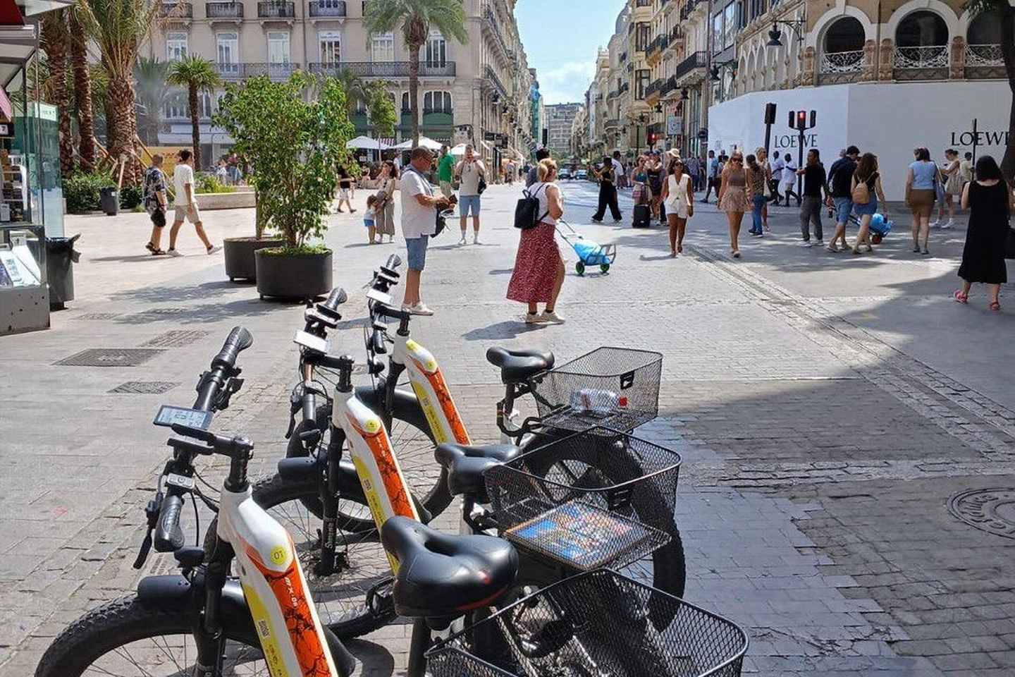 Valencia: Top 25 Highlights Guided Bike Tour