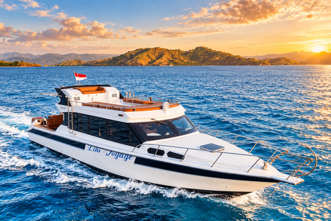 Day Trip to Komodo with Luxury Boat Dragon Guarantee & Drone