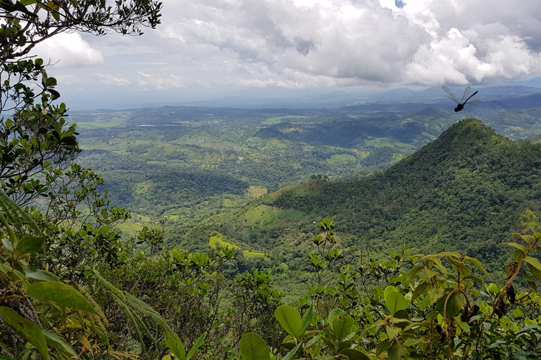 San Pedro Sula: Azul Meámbar National Park Day Trip