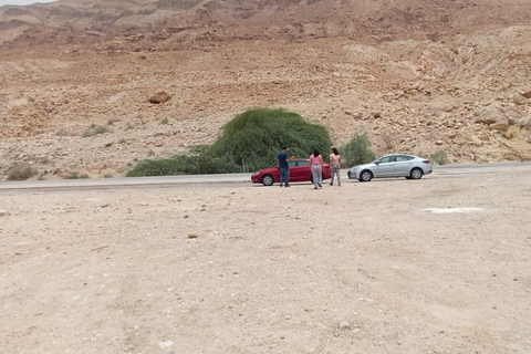 Amman: Madaba, Mount Nebo, and Dead Sea Day Trip Madaba, Nebo, and the Dead Sea Tickets and lunch included