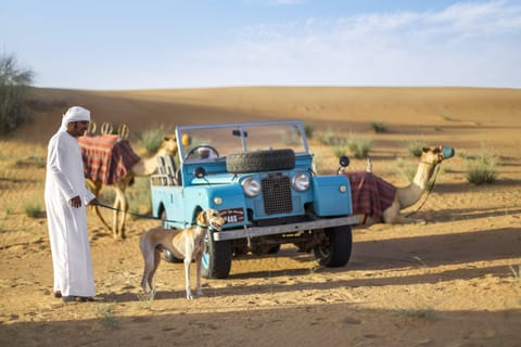 Dubai: Heritage Morning Safari