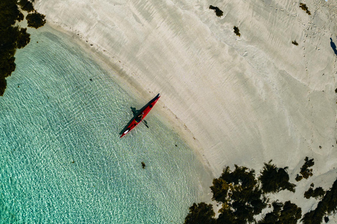 From Svolvær: Lofoten Guided Kayak Experience
