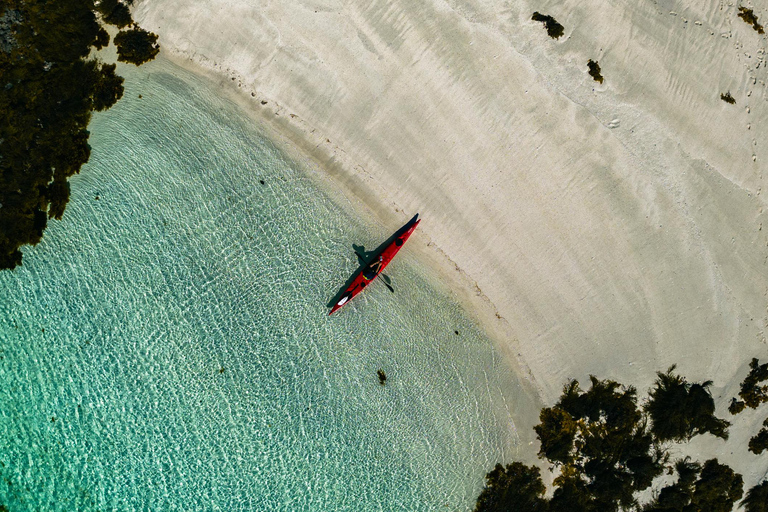 From Svolvær: Lofoten Guided Kayak Experience