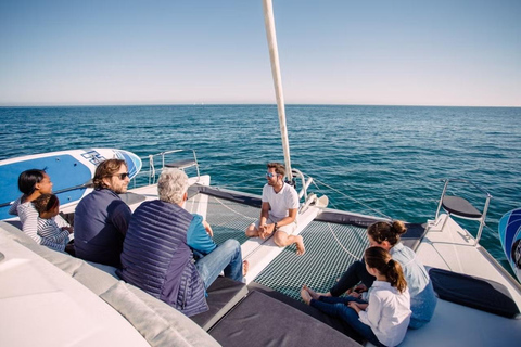 Benalmádena: Sailing & Dolphin Watching with Snacks/Drinks 2-hour PRIVATE up to 12 people