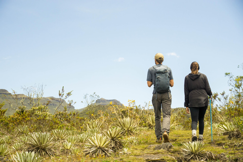 From Bogota: Explore Colombia&#039;s Andean Highlands