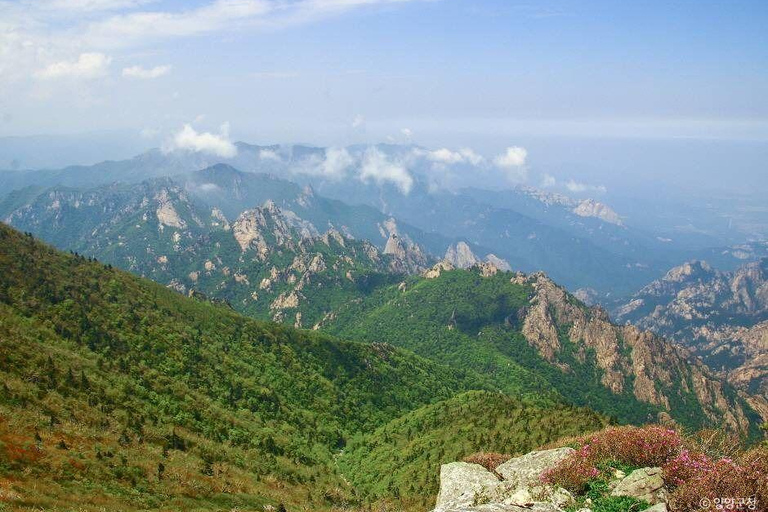 From Seoul: 6-Day Guided Tour with Hotels and Transfers