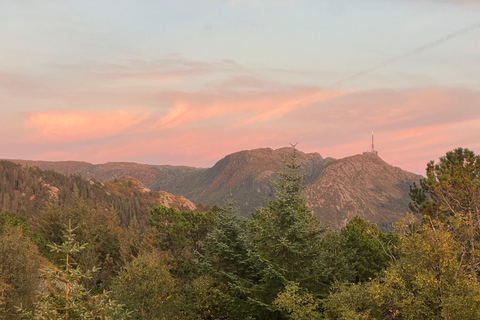 Bergen : expérience du sauna du Fjord et randonnée dans la montagne Floyen