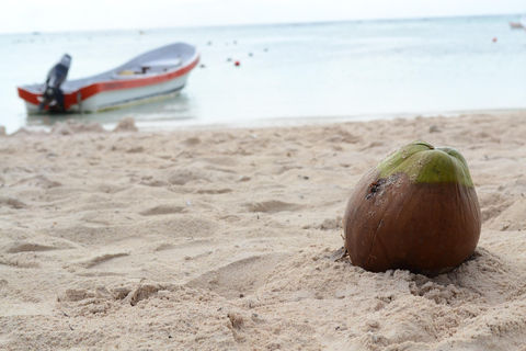 Cancun / Riviera Maya: ruïnes van Tulum, zwemmen in zeeschildpadden en cenotesTour met pick-up uit Cancun