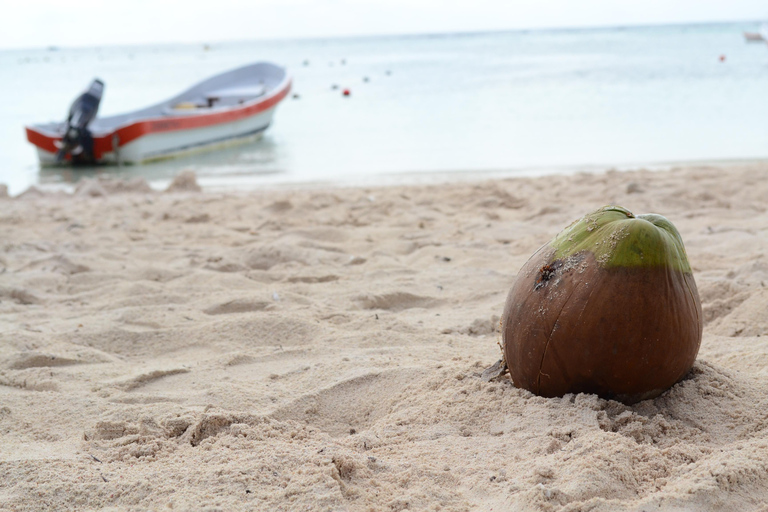 Cancun / Riviera Maya: Ruiny Tulum, Pływanie Żółwi Morskich i CenotesWycieczka z odbiorem z Cancun