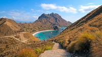 Komodo Island, Komodo Dragons & Islands Day Tour - Housity