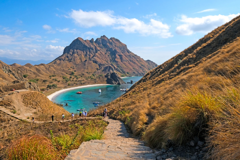 Komodo-eiland: Komodovaranen en eilanden-dagtour