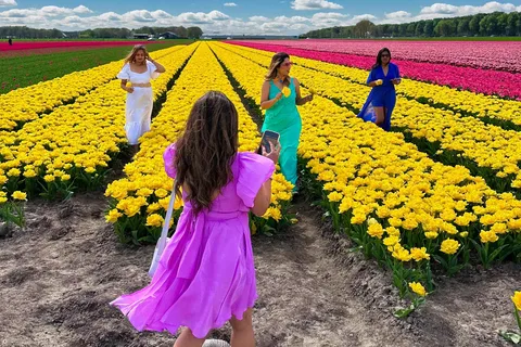 Amsterdam: Tulpenvelden dagtour met lunch & molen