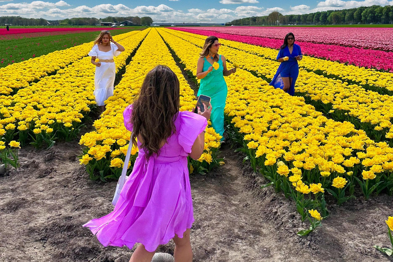Amsterdam: Tulip Fields Day Tour with Lunch & Windmill