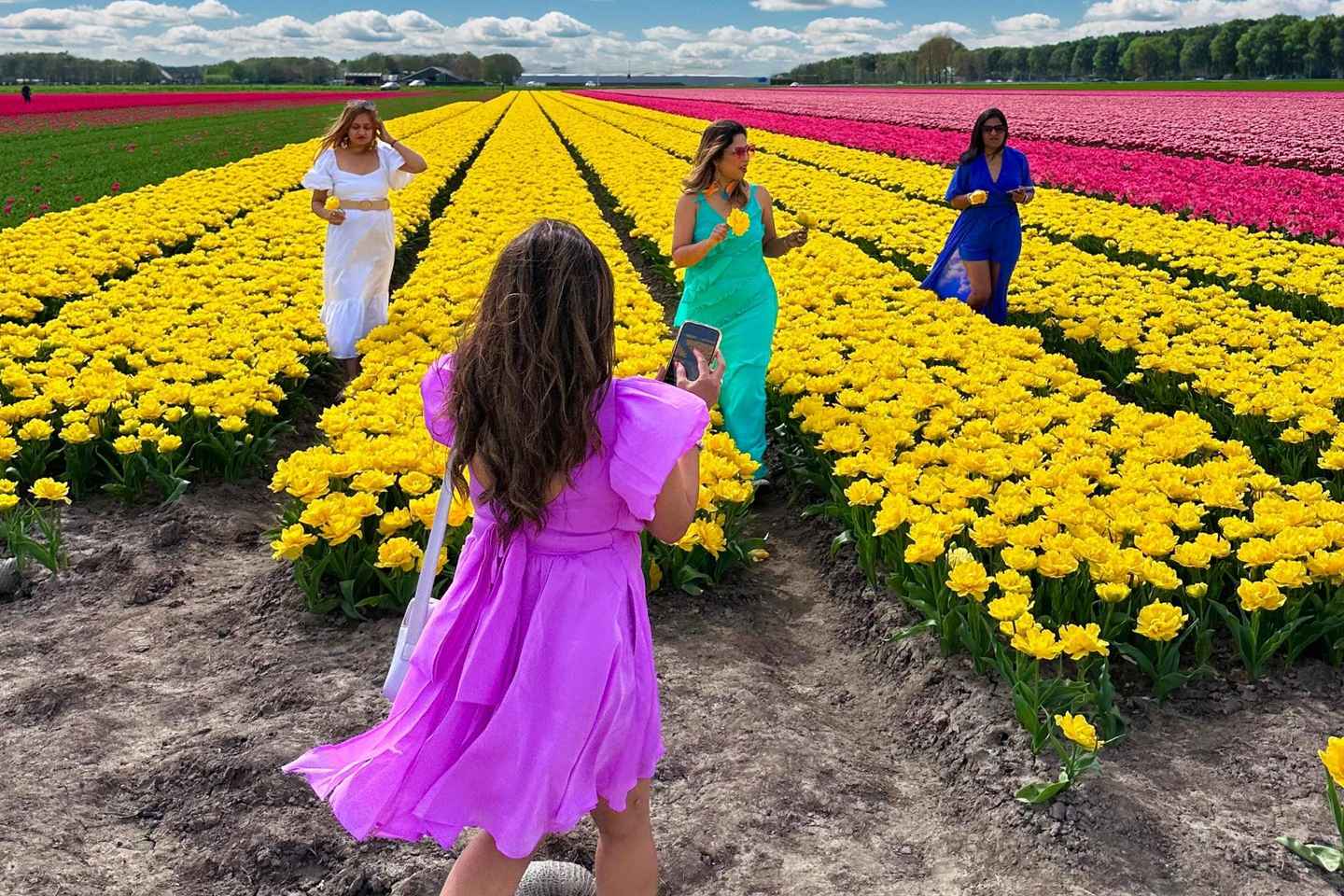 Amsterdam: Tulip Fields Day Tour with Lunch & Windmill