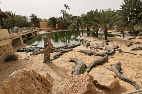 Djerba: Crocodiles, Guided Museum Tour & Free Souvenir