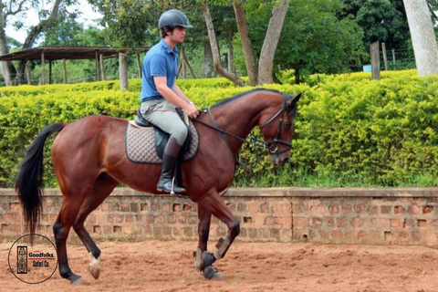 UGANDA HORSEBACK - paisagens e aventuras cénicas | 8 dias