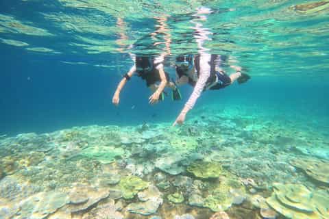 The best Okinawa Luxury experiences 2026 - Free cancellation