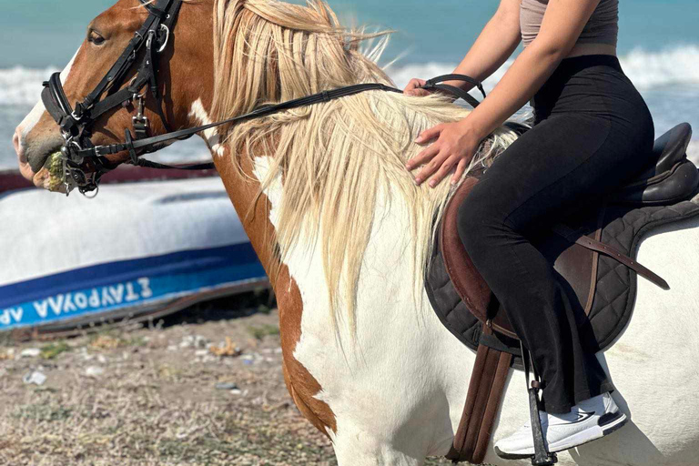 Rhodes: Passeio a cavalo com fotos digitaisPasseio a cavalo pela manhã no campo