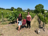 From Potsdam, E-bike tour into the vineyards - Housity