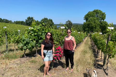 From Potsdam: E-bike tour into the vineyards Potsdam: Wine tour with the e-bike into the vineyards