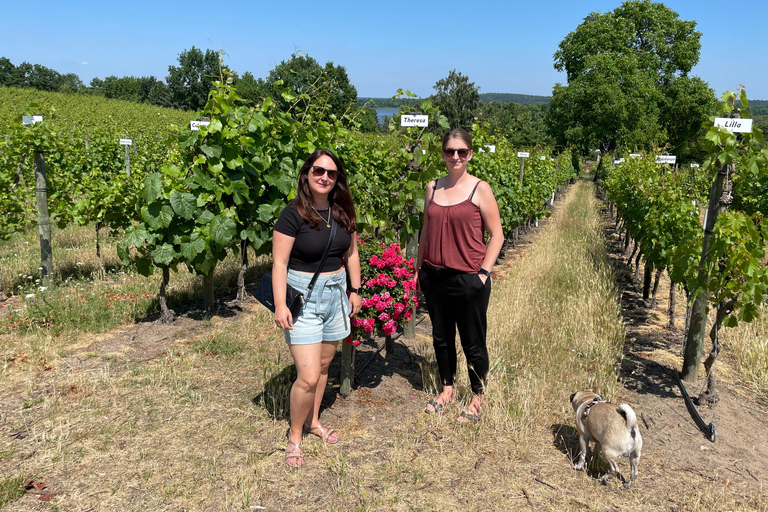 From Potsdam: E-bike tour into the vineyards Potsdam: Wine tour with the e-bike into the vineyards