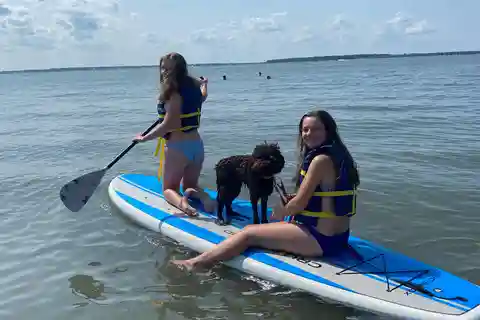 Dewey Beach: 1-Hour Single Kayak Rentals