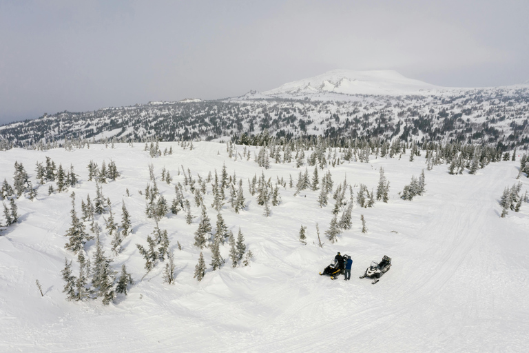 Sofia Snowmobile Safari Adventure - Hotel Pickup Included