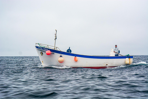 São Miguel: Die Kunst des traditionellen FischensSao Miguel: Die Kunst des traditionellen Fischens