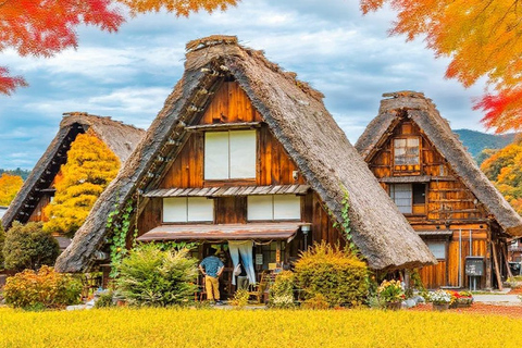 Shirakawa-go Snow Illumination Festival Tour from Nagoya VIP Small group up to 9-guests