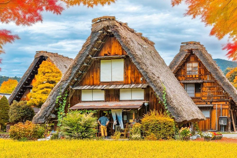 Shirakawa-go Snow Illumination Festival Tour from Nagoya VIP Small group up to 9-guests