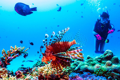 St. Lucia: Anse Cochon Marine Reserve Snorkeling Tour