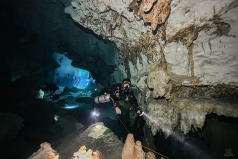Cancun: 2 Cenote Dives at Dos Ojos Park for Certified Divers