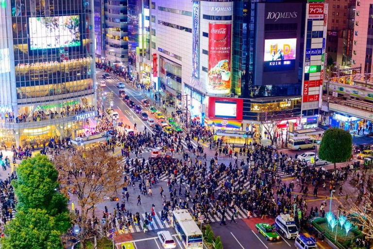 Tokyo: Private Luxury Day Tour with Hotel Pickup and DropOff