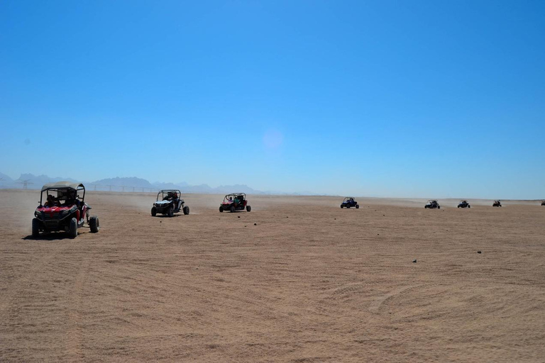 Hurghada: Quadriciclo, buggy, safári de jipe, passeio de camelo e jantarServiço de busca no hotel em Hurghada