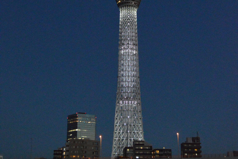Tokyo: Luxury Private Full-Day City Tour by Alphard Luxury Alphard