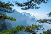 Tour privato di Huangshan a 3 giorni che include i biglietti - Housity