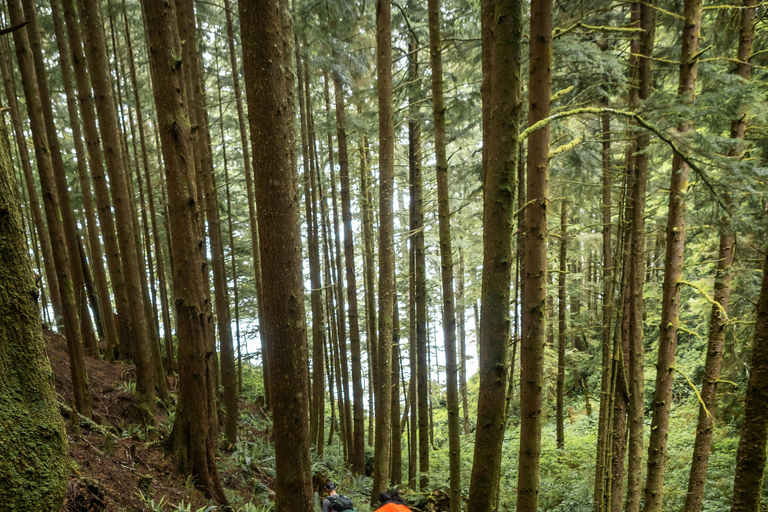Vancouver: Wędrówki z przewodnikiem po Grouse i Lynn Canyon